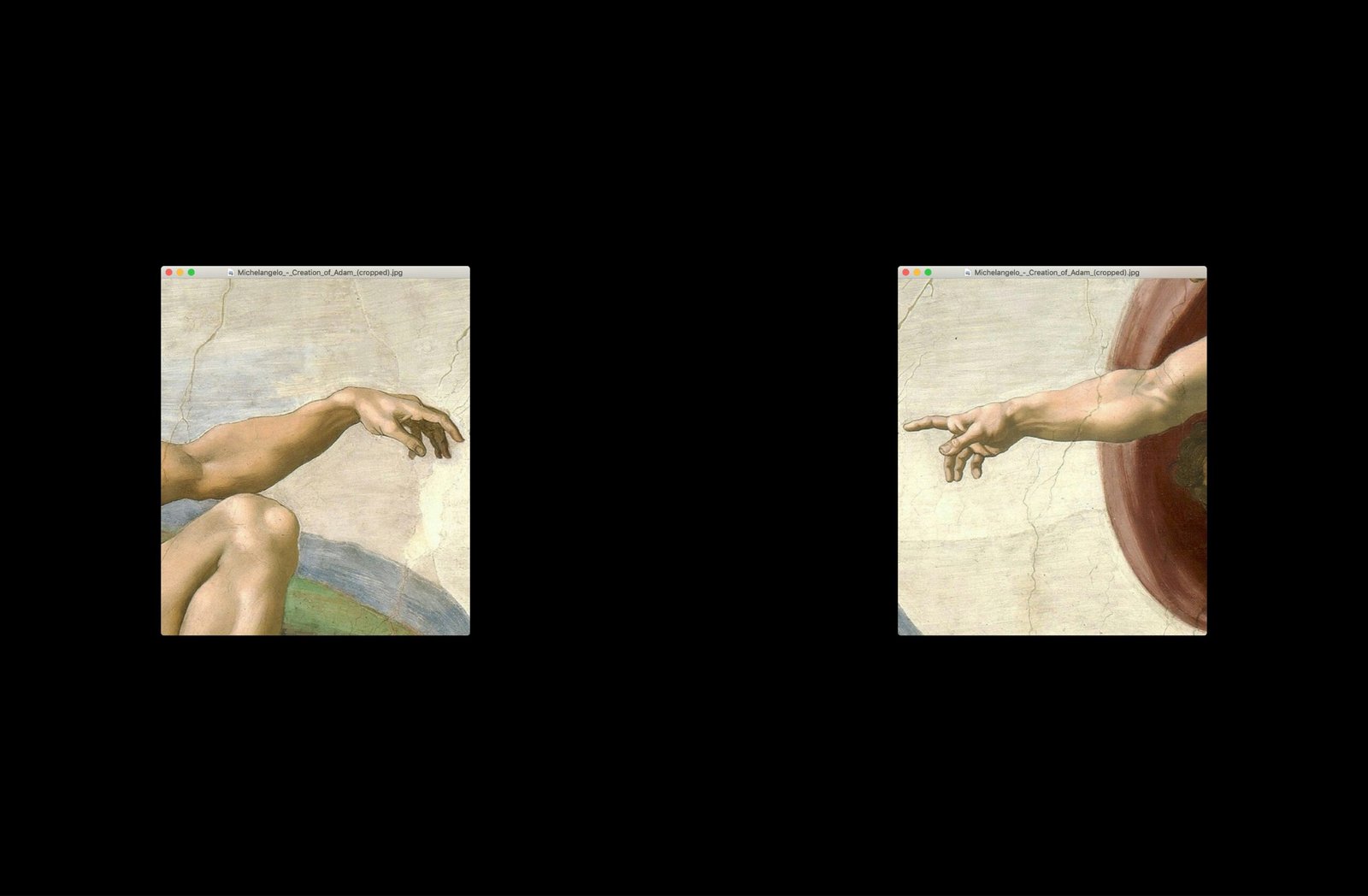 Exploring the Lineage of Adam: Understanding His Descendants